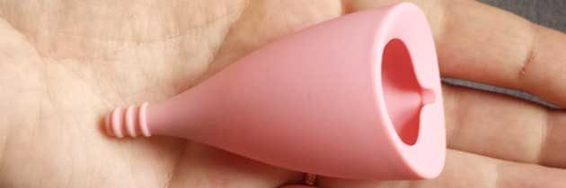 lilycup