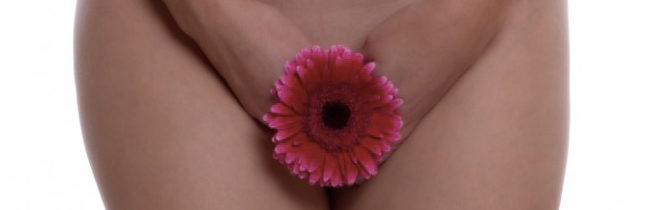 flore vaginale