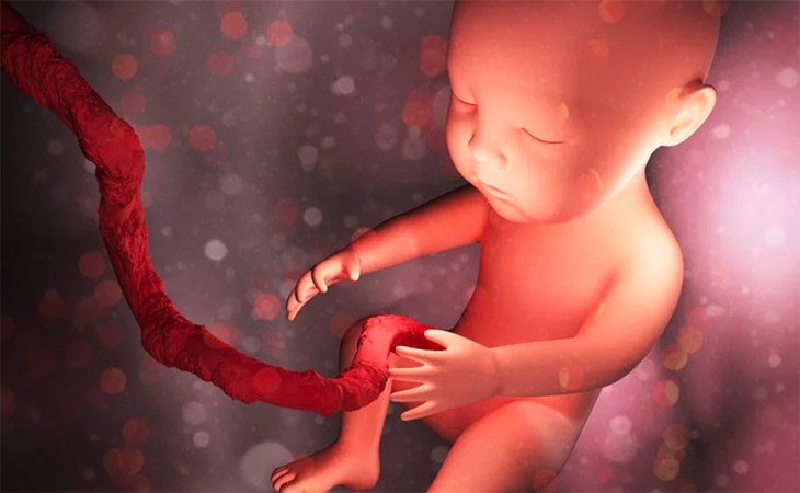 phoetus dans le ventre